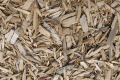 biomass boilers Stranmillis