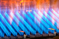Stranmillis gas fired boilers